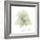 Ginkgo Quad in Green-Albert Koetsier-Framed Art Print