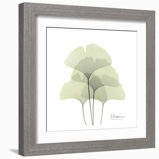 Ginkgo Quad in Green-Albert Koetsier-Framed Art Print