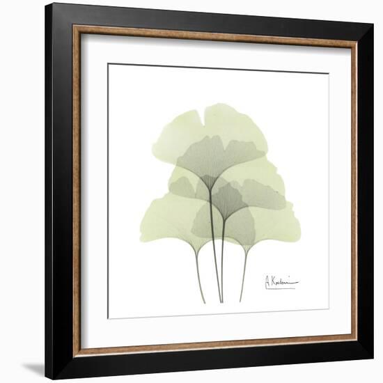 Ginkgo Quad in Green-Albert Koetsier-Framed Art Print