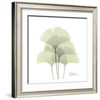 Ginkgo Quad in Green-Albert Koetsier-Framed Art Print