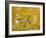 Ginkgo-Ryuji Adachi-Framed Photographic Print