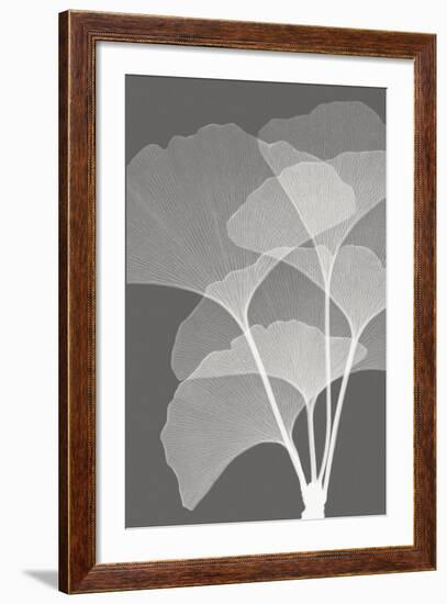 Ginkgos I-Steven N^ Meyers-Framed Art Print