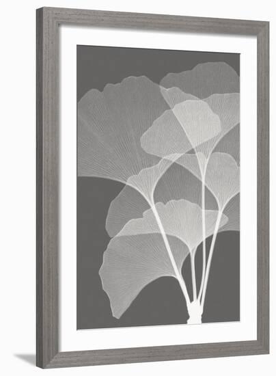 Ginkgos I-Steven N^ Meyers-Framed Art Print