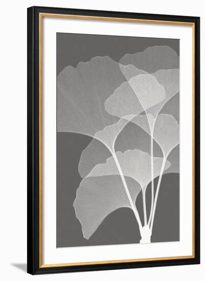 Ginkgos I-Steven N^ Meyers-Framed Art Print