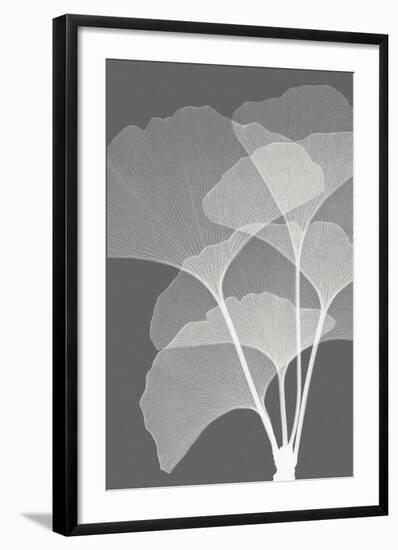 Ginkgos I-Steven N^ Meyers-Framed Art Print