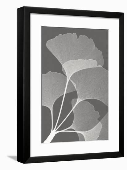 Ginkgos II-Steven N^ Meyers-Framed Art Print