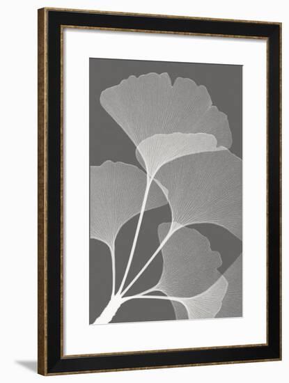 Ginkgos II-Steven N^ Meyers-Framed Art Print