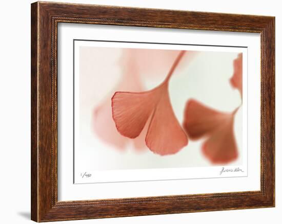 Ginko 2-Florence Delva-Framed Limited Edition