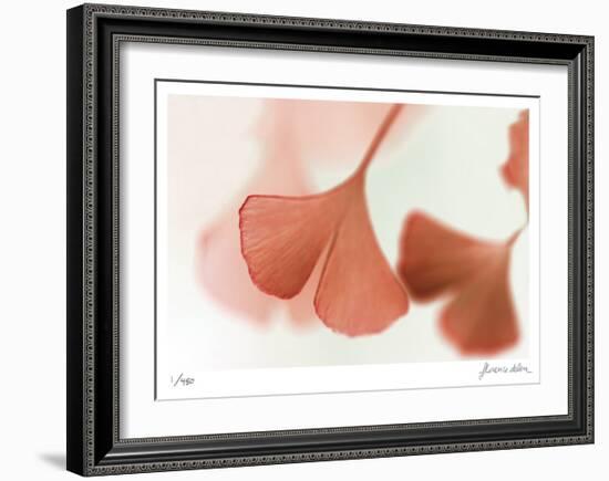 Ginko 2-Florence Delva-Framed Limited Edition