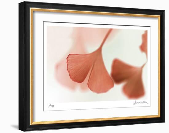 Ginko 2-Florence Delva-Framed Limited Edition