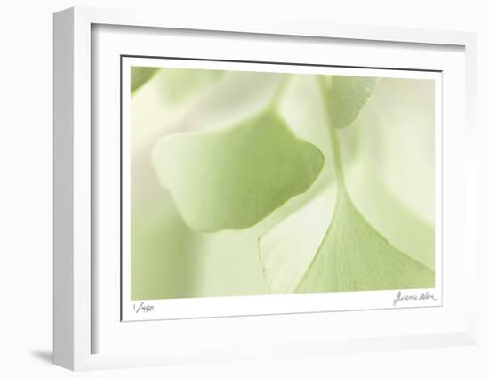 Ginko 3-Florence Delva-Framed Limited Edition