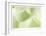 Ginko 3-Florence Delva-Framed Limited Edition