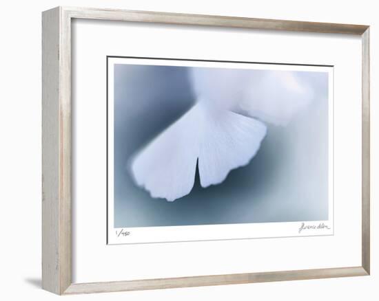 Ginko 4-Florence Delva-Framed Limited Edition