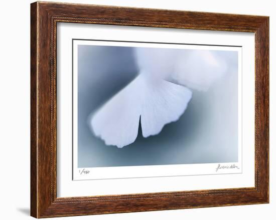 Ginko 4-Florence Delva-Framed Limited Edition