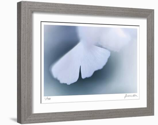 Ginko 4-Florence Delva-Framed Limited Edition