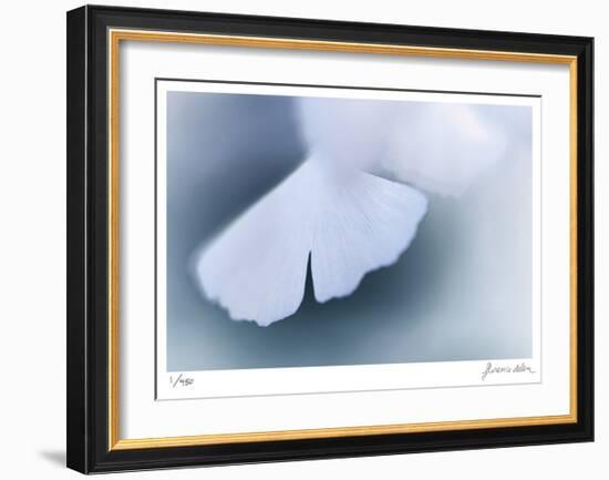 Ginko 4-Florence Delva-Framed Limited Edition