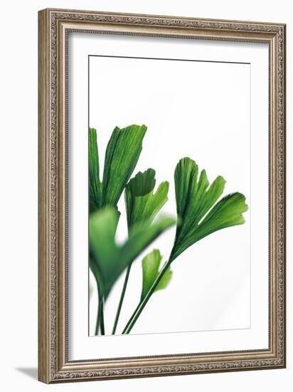 Ginko 4-Mareike Böhmer-Framed Giclee Print