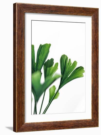 Ginko 4-Mareike Böhmer-Framed Giclee Print