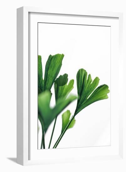 Ginko 4-Mareike Böhmer-Framed Giclee Print