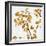 Ginko in Gold I-Kate Bennett-Framed Art Print