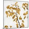 Ginko in Gold I-Kate Bennett-Mounted Art Print