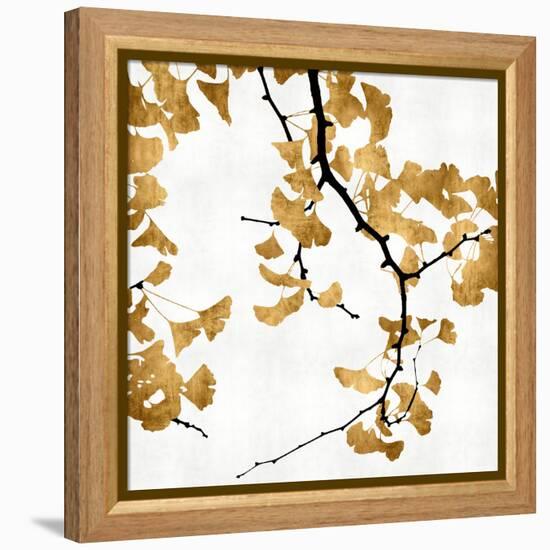 Ginko in Gold II-Kate Bennett-Framed Stretched Canvas