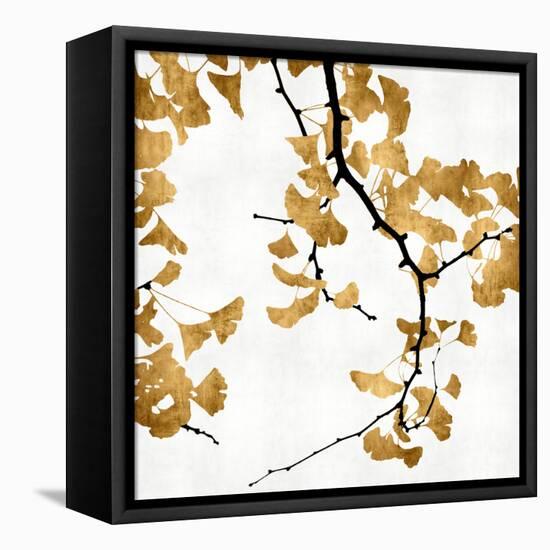 Ginko in Gold II-Kate Bennett-Framed Stretched Canvas