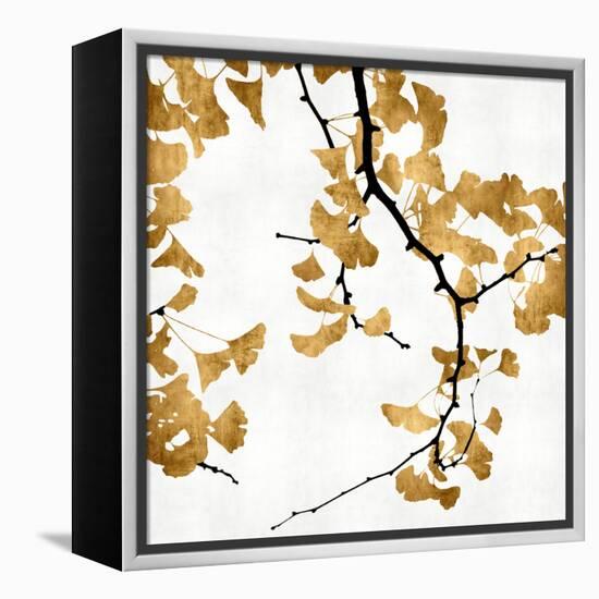 Ginko in Gold II-Kate Bennett-Framed Stretched Canvas