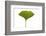 Ginko Leaf-Fabio Petroni-Framed Photographic Print