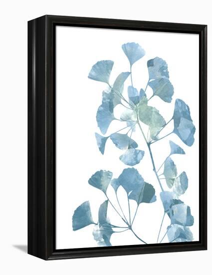 Ginko Life 2-Marcus Prime-Framed Stretched Canvas