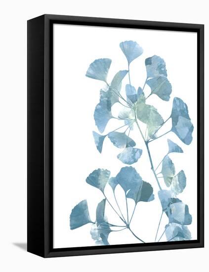 Ginko Life 2-Marcus Prime-Framed Stretched Canvas