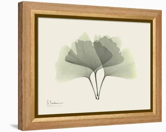 Ginko Moments-Albert Koetsier-Framed Stretched Canvas