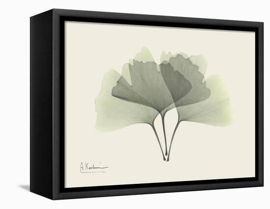 Ginko Moments-Albert Koetsier-Framed Stretched Canvas