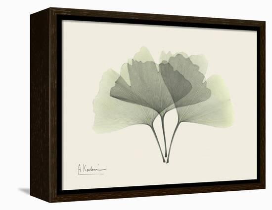 Ginko Moments-Albert Koetsier-Framed Stretched Canvas