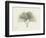 Ginko Moments-Albert Koetsier-Framed Premium Giclee Print