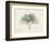 Ginko Moments-Albert Koetsier-Framed Premium Giclee Print