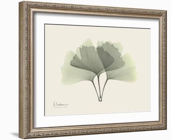 Ginko Moments-Albert Koetsier-Framed Art Print