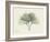 Ginko Moments-Albert Koetsier-Framed Art Print