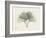 Ginko Moments-Albert Koetsier-Framed Art Print