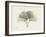 Ginko Moments-Albert Koetsier-Framed Art Print