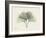 Ginko Moments-Albert Koetsier-Framed Art Print