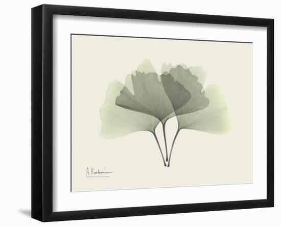 Ginko Moments-Albert Koetsier-Framed Art Print