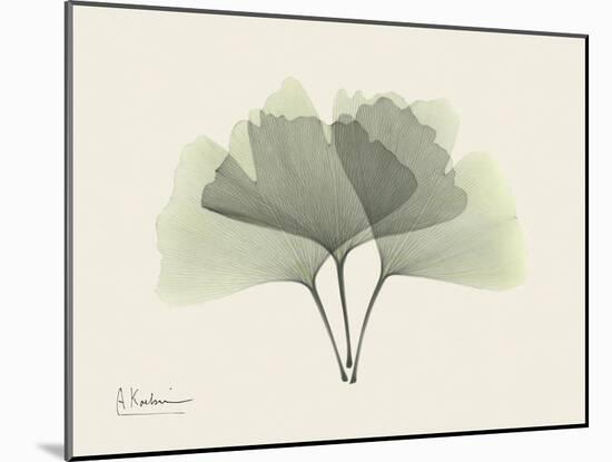 Ginko Moments-Albert Koetsier-Mounted Art Print