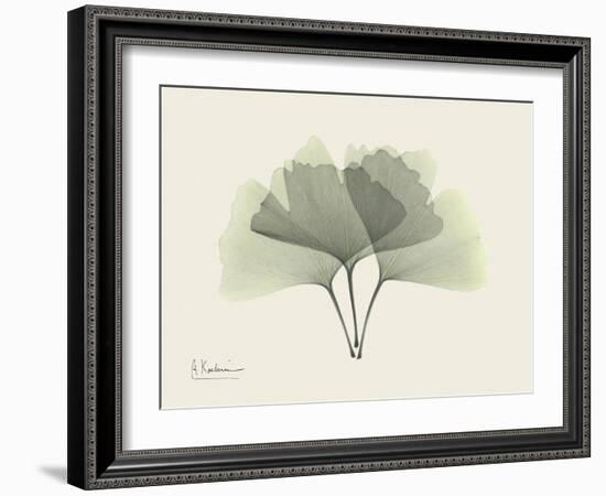 Ginko Moments-Albert Koetsier-Framed Art Print