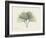 Ginko Moments-Albert Koetsier-Framed Art Print