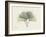 Ginko Moments-Albert Koetsier-Framed Art Print