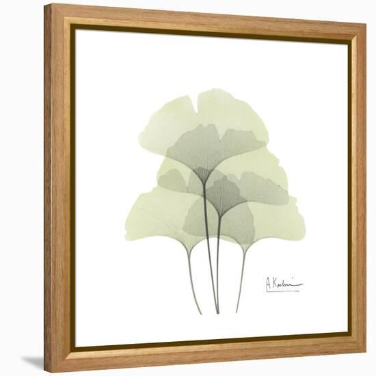 Ginko Portrait 1-Albert Koetsier-Framed Stretched Canvas