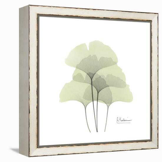 Ginko Portrait 1-Albert Koetsier-Framed Stretched Canvas