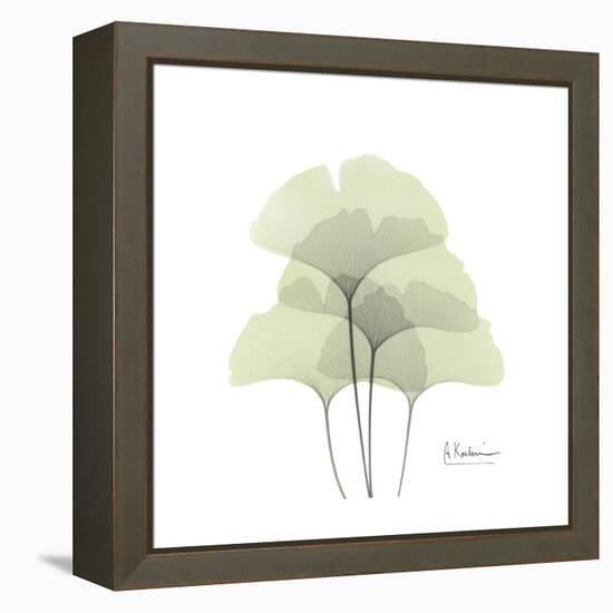 Ginko Portrait 1-Albert Koetsier-Framed Stretched Canvas