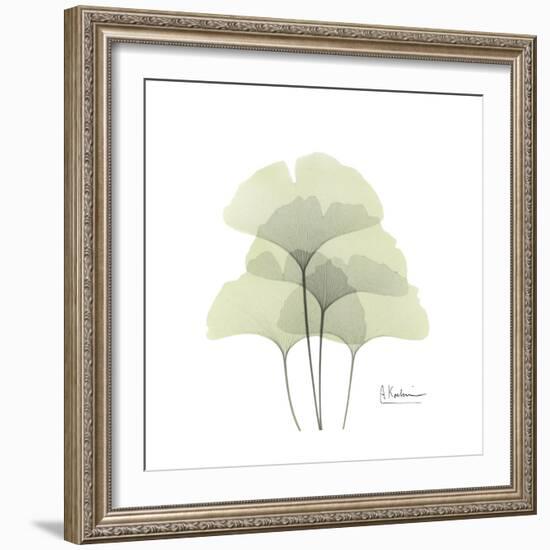 Ginko Portrait 1-Albert Koetsier-Framed Premium Giclee Print